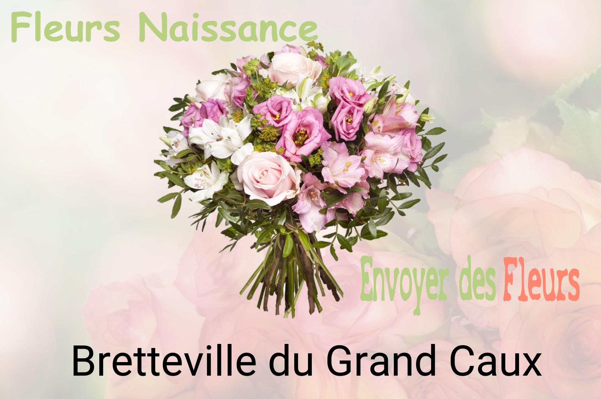 Bouquet de fleurs de naissance livré à Bretteville-du-Grand-Caux
